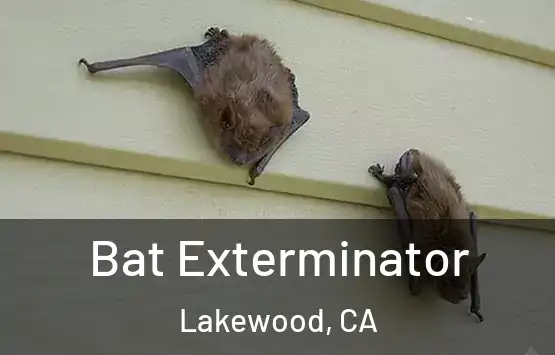  Bat Exterminator Lakewood, CA