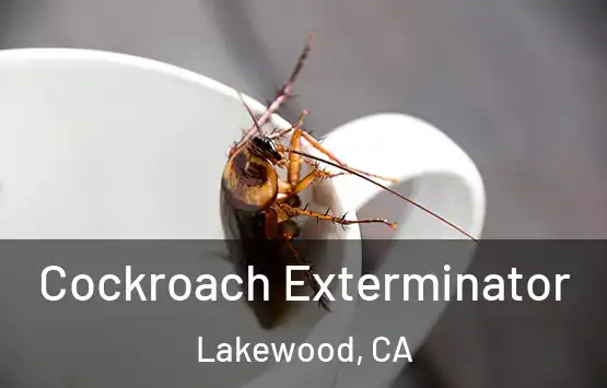  Cockroach Exterminator Lakewood, CA