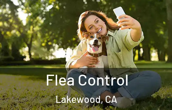  Flea Control Lakewood, CA