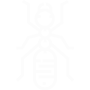 Carpenter Ants Pest Control Lakewood, CA