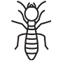 Termites Pest Control Lakewood, California