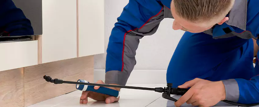 Ant Control for Bedrooms in Lakewood, CA
