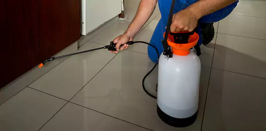 Commercial Pest Extermination for Offices in Lakewood, CA