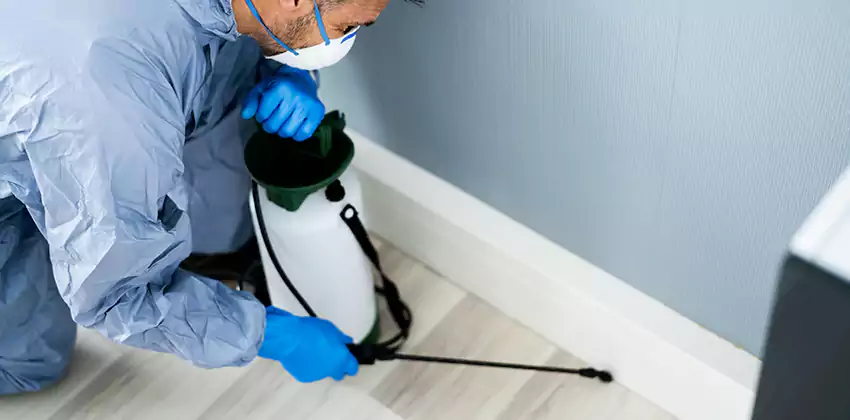 commercial-pest-exterminator in Lakewood, CA