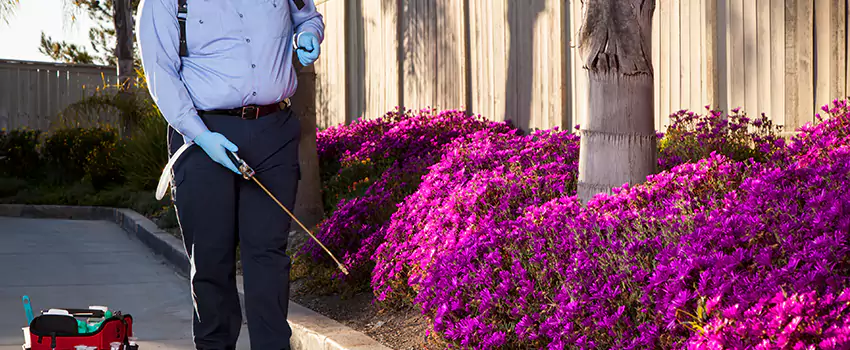 flea-exterminator in Lakewood, CA
