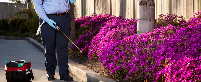 mosquito-exterminator in Lakewood, CA