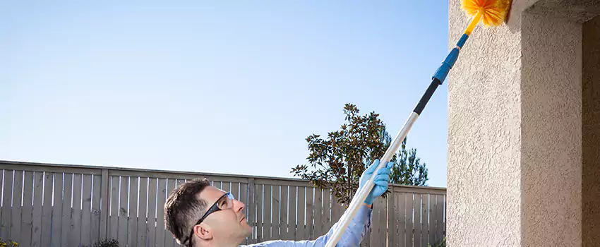 spider-exterminator in Lakewood, CA