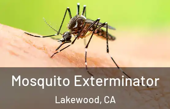  Mosquito Exterminator Lakewood, CA