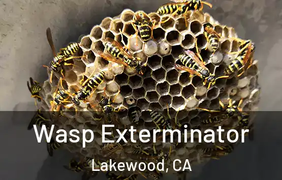  Wasp Exterminator Lakewood, CA