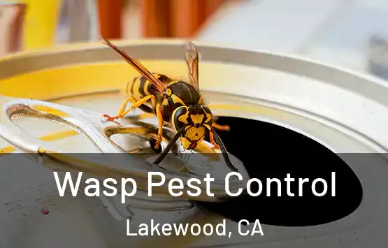  Wasp Pest Control Lakewood, CA