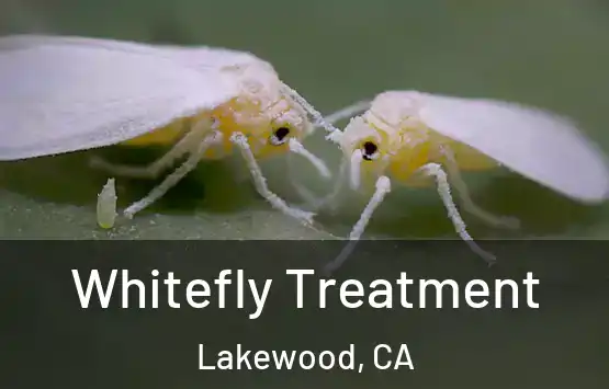  Whitefly Treatment Lakewood, CA
